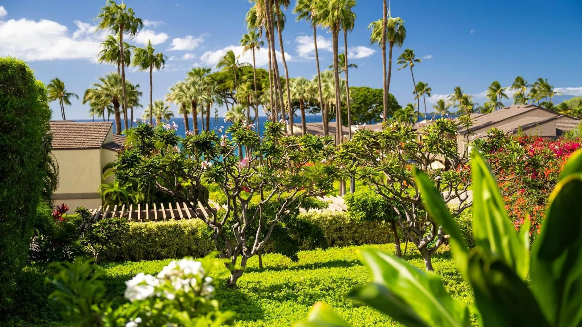 Elua 502 Villa Wailea